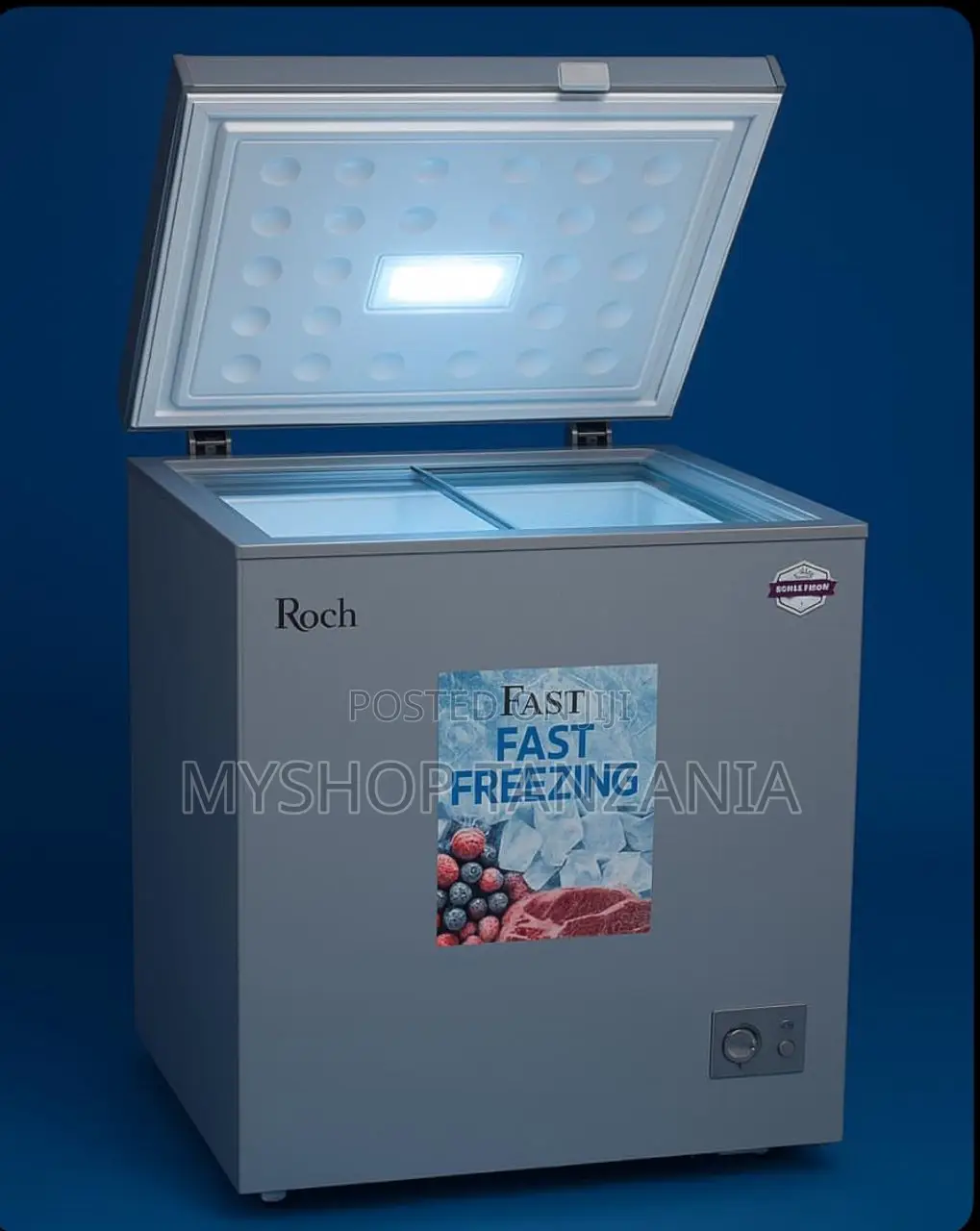 Rochi 100l Freezer