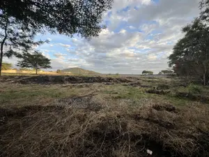 Prime 3-Acre Investment Property for Sale – Kisongo, Arusha