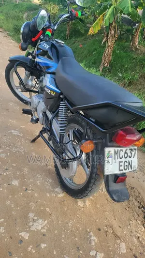 New TVS HLX 125 2025 Black