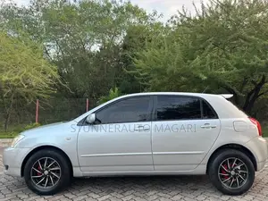 Toyota Allex 2004 Silver