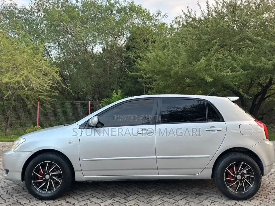 Toyota Allex 2004 Silver