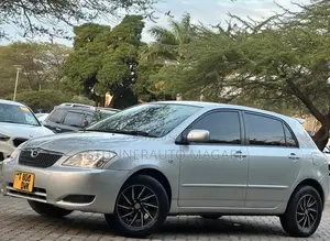 Toyota Allex 2004 Silver