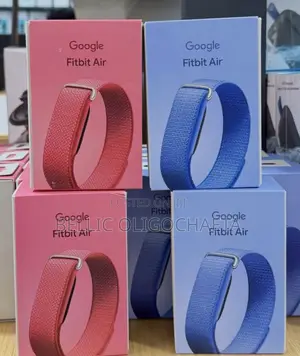 Google Fitbit Air