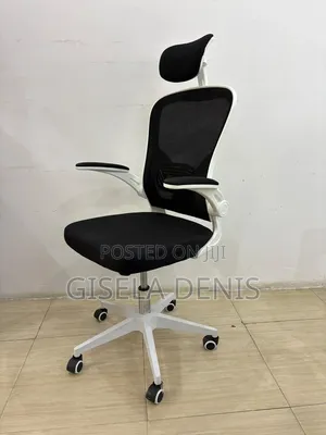 Kiti Cha Ofisini Cha Ergonomic Chair