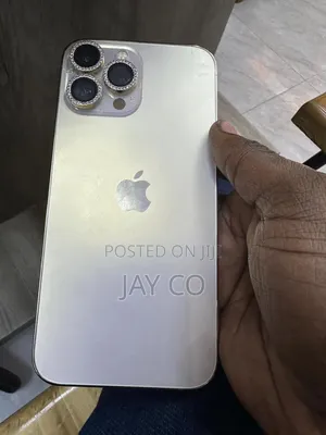 Apple iPhone 13 Pro Max 256 GB Silver