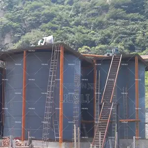 Gold Ore Iron Ore Cil Cip Leaching Process Production Line
