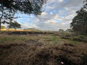 Prime 3-Acre Investment Property for Sale – Kisongo, Arusha