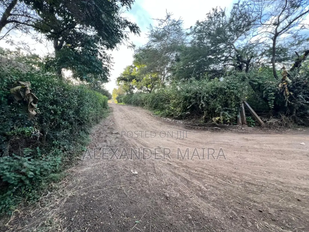 Prime 3-Acre Investment Property for Sale – Kisongo, Arusha