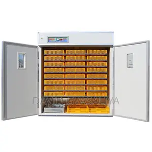 Incubator for Eggs