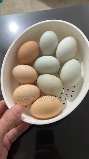 Duck Chinese