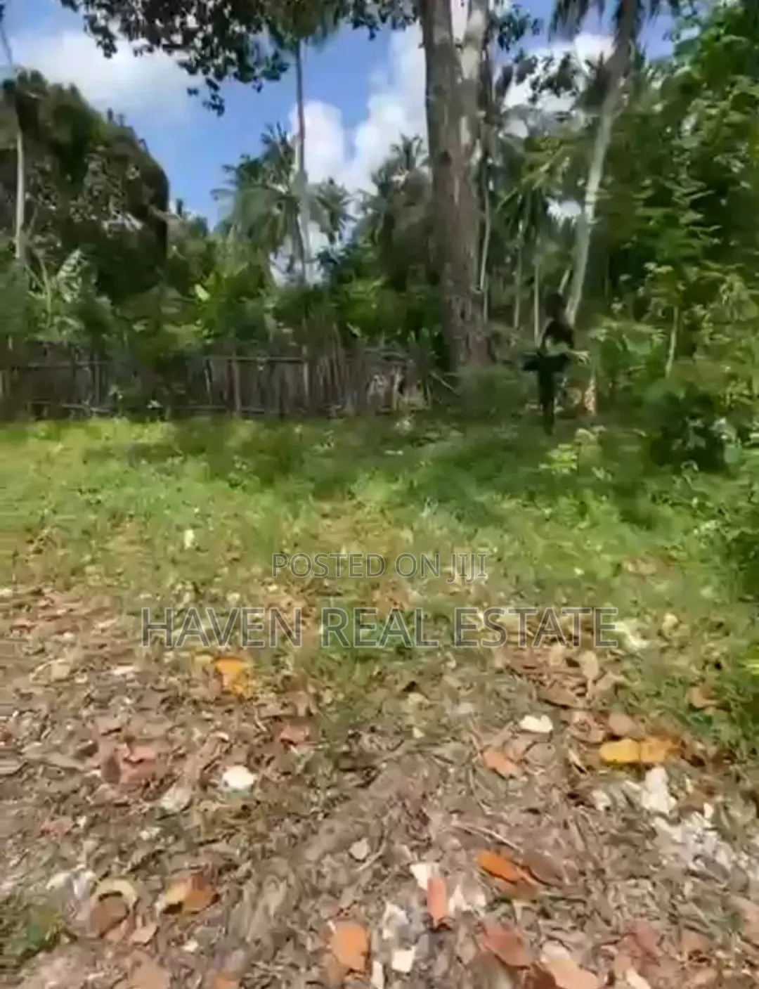 Beach Plot for Sale at Zanzibar