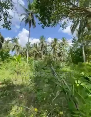 Beach Plot for Sale at Zanzibar