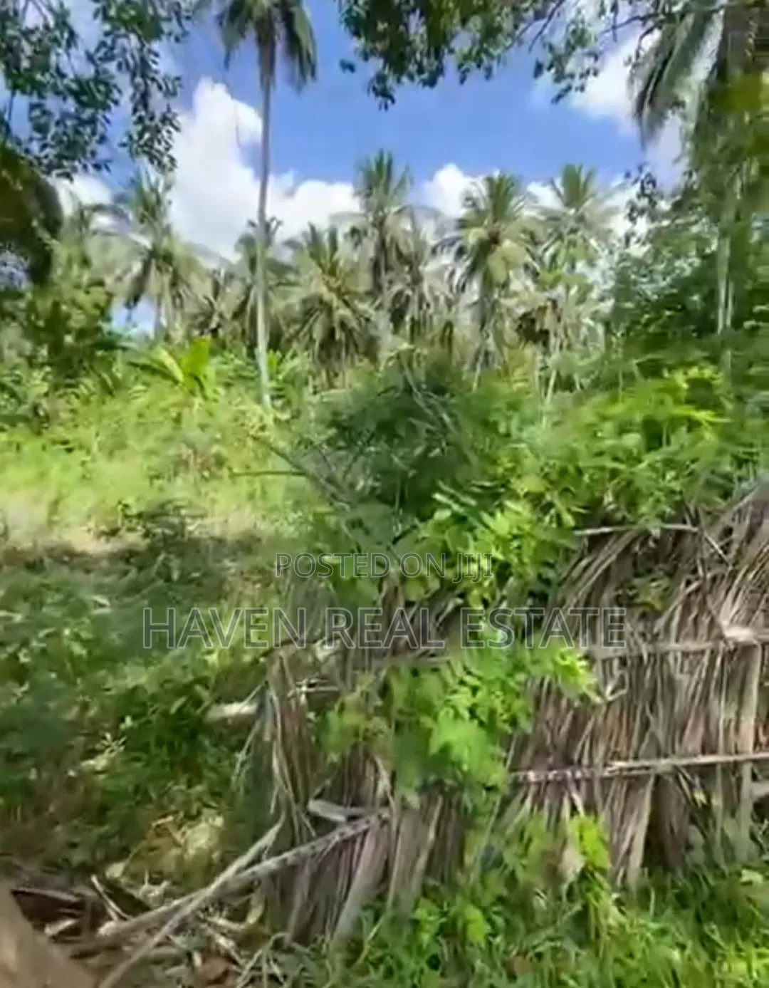 Beach Plot for Sale at Zanzibar