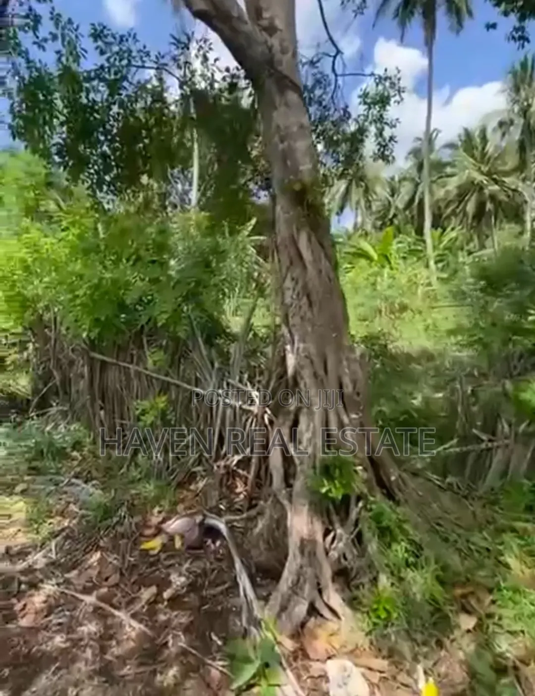 Beach Plot for Sale at Zanzibar