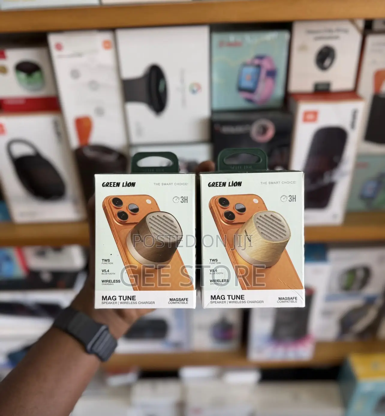 Green Lion Mini Speaker