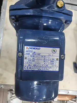 Pedrollo Water Pump