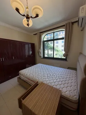 Furnished 3bdrm Apartment in Masaki for rent