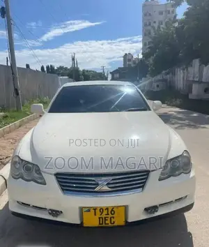 Toyota Mark X 2007 Pearl