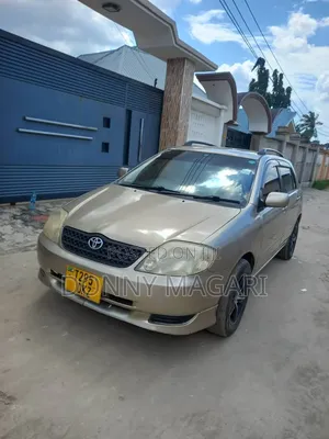 Toyota Corolla RunX 2004 Gold