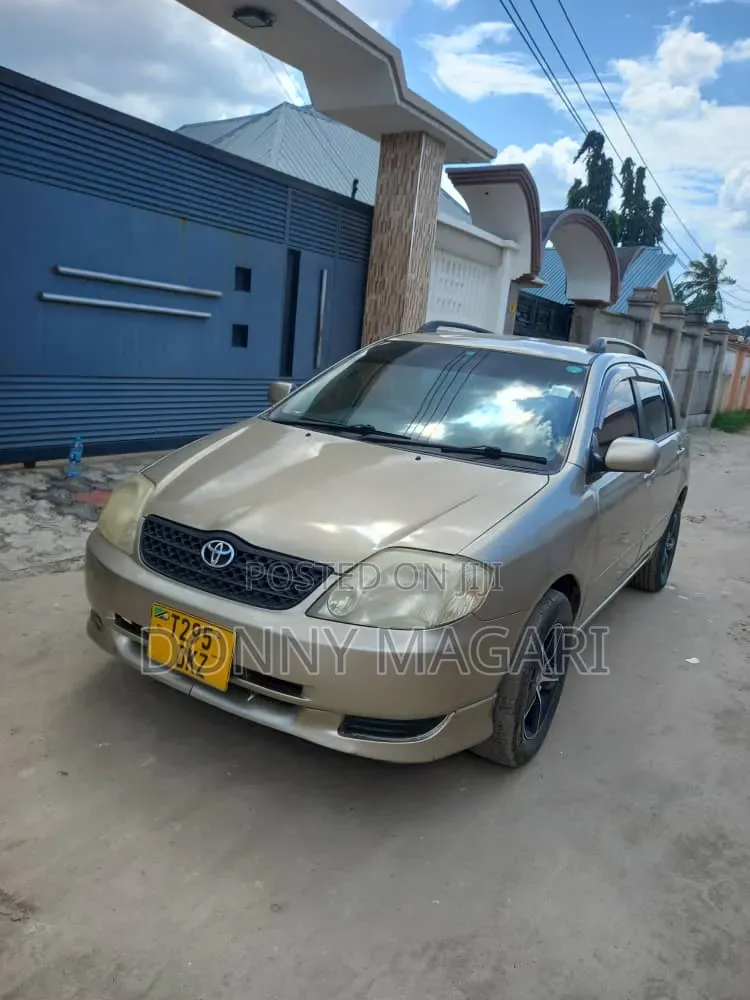 Toyota Corolla RunX 2004 Gold