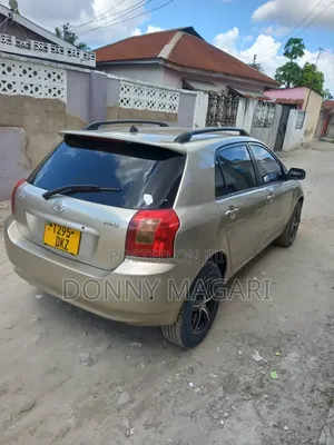 Toyota Corolla RunX 2004 Gold