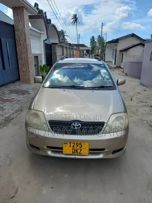 Toyota Corolla RunX 2004 Gold