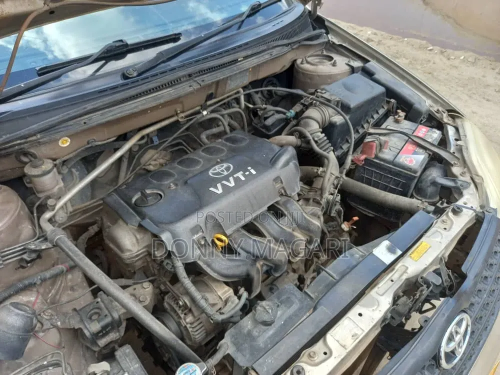 Toyota Corolla RunX 2004 Gold