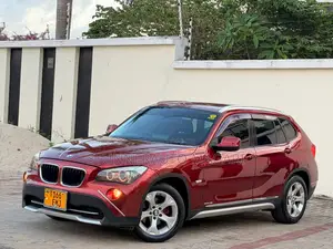BMW X1 2011 Maroon