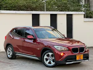 BMW X1 2011 Maroon