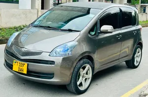 Toyota Ractis 2008 Gray