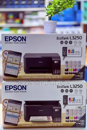 *Printer Epson Ecotank L3250