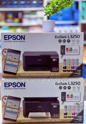 *Printer Epson Ecotank L3250