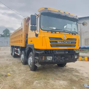 Shacman Man Tipper (Mende)