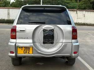 Toyota RAV4 2004 Silver