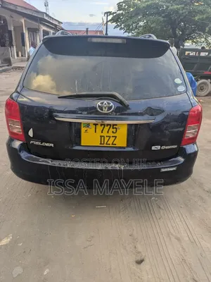 Toyota Corolla Fielder 2008 Blue