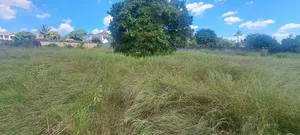 Kiwanja Kinauzwa Bunju B