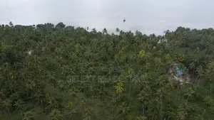 31.4 Acres Prime Beachfront Land at Mafia Island