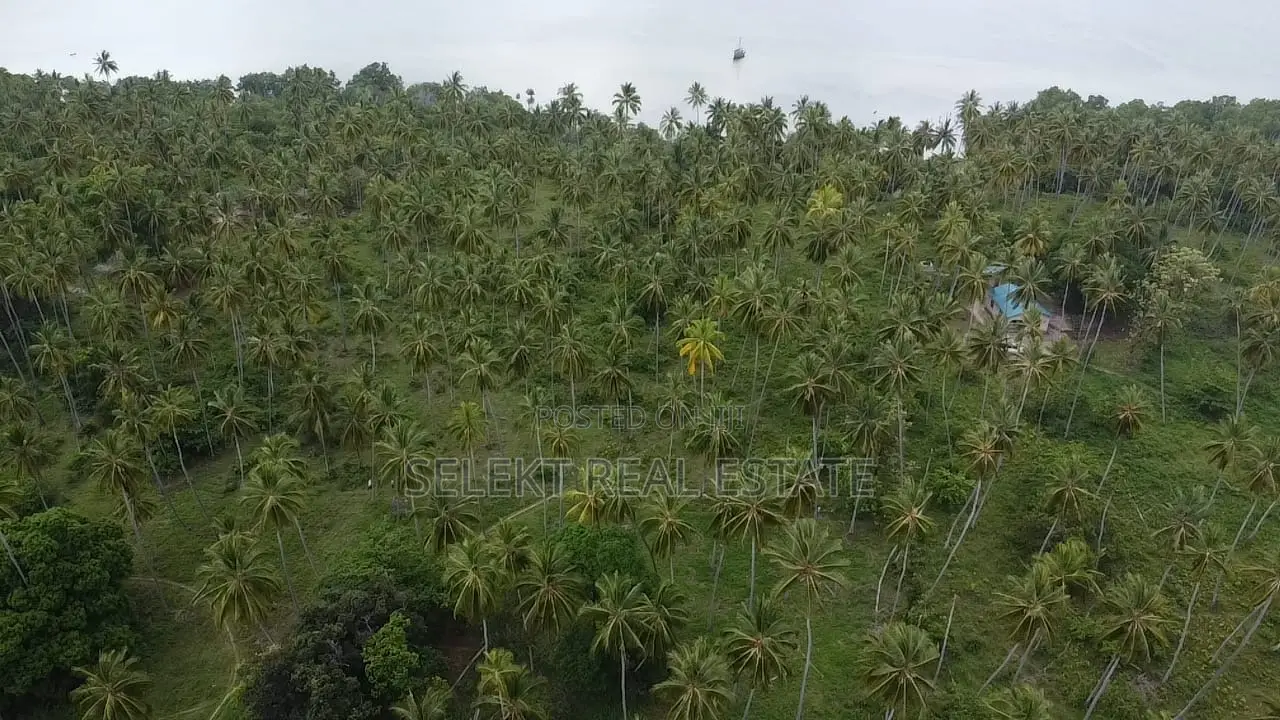 31.4 Acres Prime Beachfront Land at Mafia Island