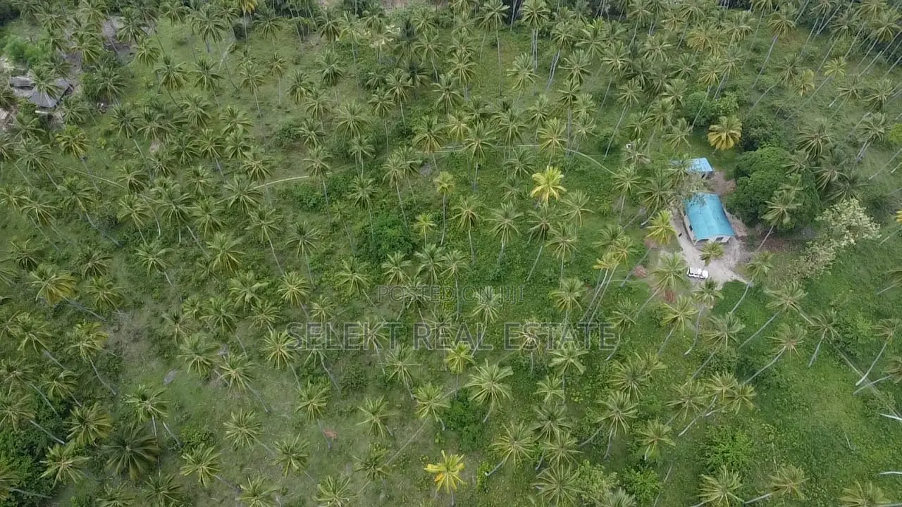 31.4 Acres Prime Beachfront Land at Mafia Island