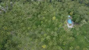 31.4 Acres Prime Beachfront Land at Mafia Island