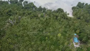 31.4 Acres Prime Beachfront Land at Mafia Island