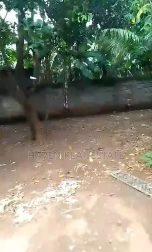 Eneo Linauzwa Kiembe Samaki Zanzibar