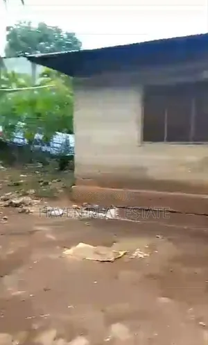 Eneo Linauzwa Kiembe Samaki Zanzibar