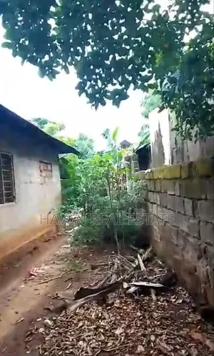 Eneo Linauzwa Kiembe Samaki Zanzibar