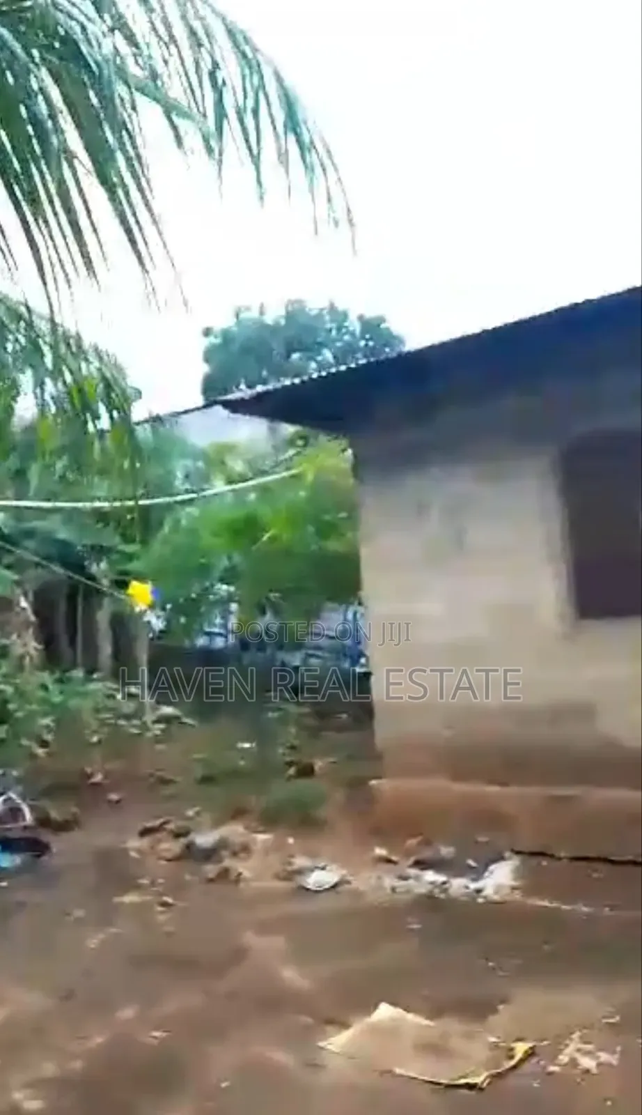 Eneo Linauzwa Kiembe Samaki Zanzibar
