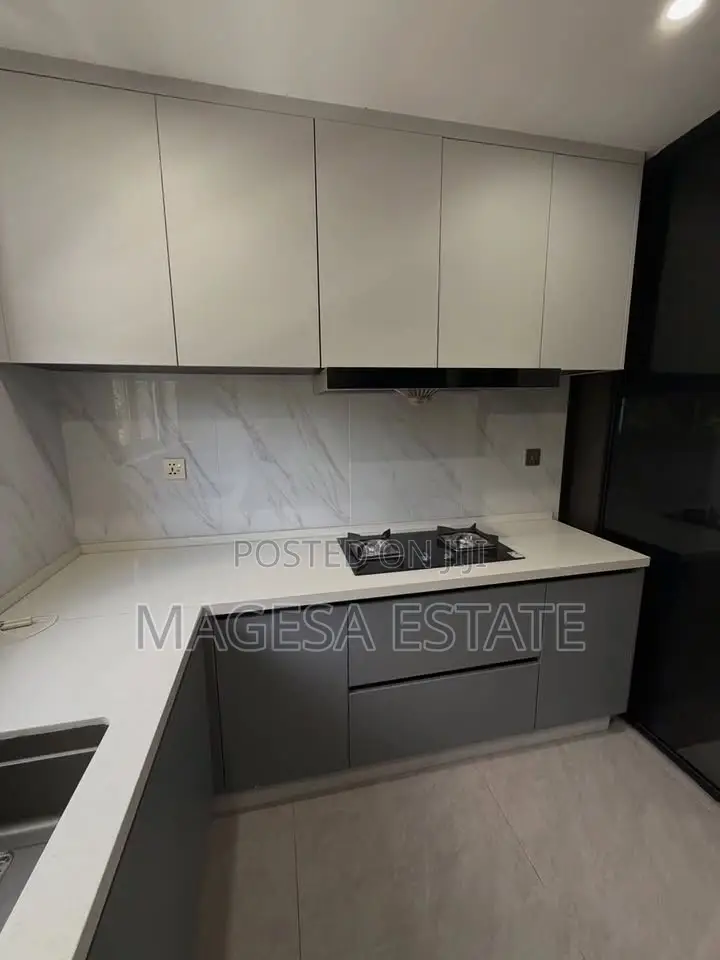 Furnished 3bdrm Apartment in Oysterbay for rent