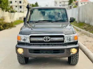 Toyota Land Cruiser 2010 Gray