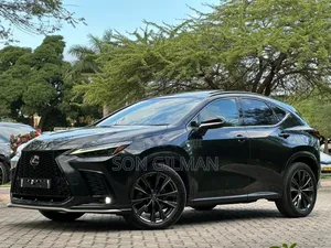 Lexus NX 2022 Black
