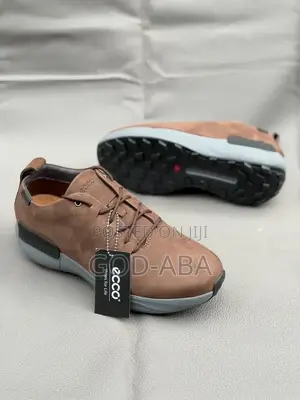 Ecco Viatu Bora