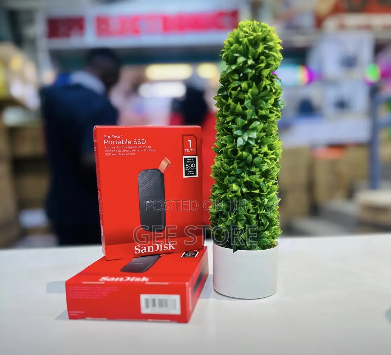 Portable Sandisk